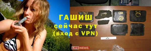 скорость Ельня