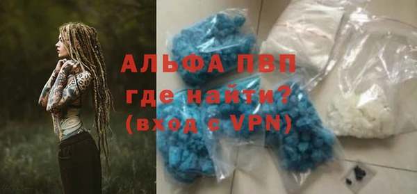 гидра Гусев