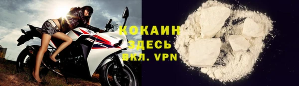 гидра Гусев