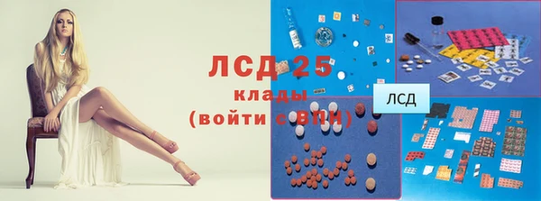 гидра Гусев