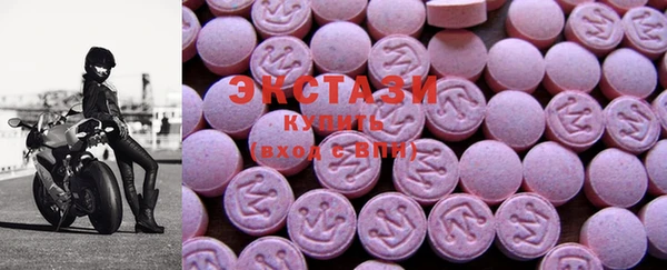 гидра Гусев