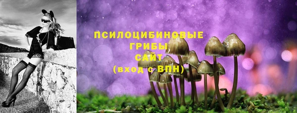 PSILOCYBIN Рославль