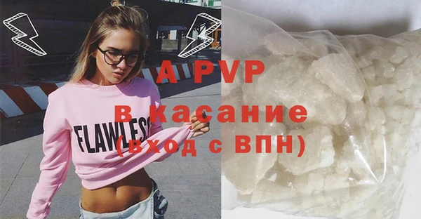 гидра Гусев