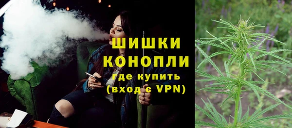дмт Гусь-Хрустальный