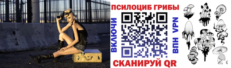 Галлюциногенные грибы Psilocybe  Вилючинск 