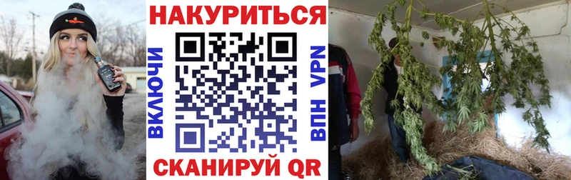 Бошки Шишки MAZAR  даркнет сайт  Вилючинск 